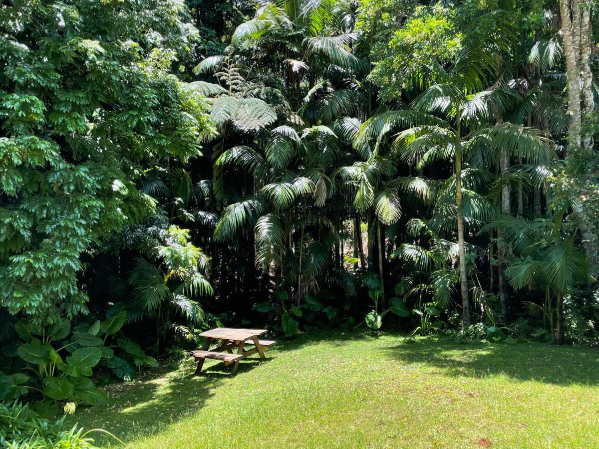 Romantic Cottage, Tamborine Mountain Exterior foto