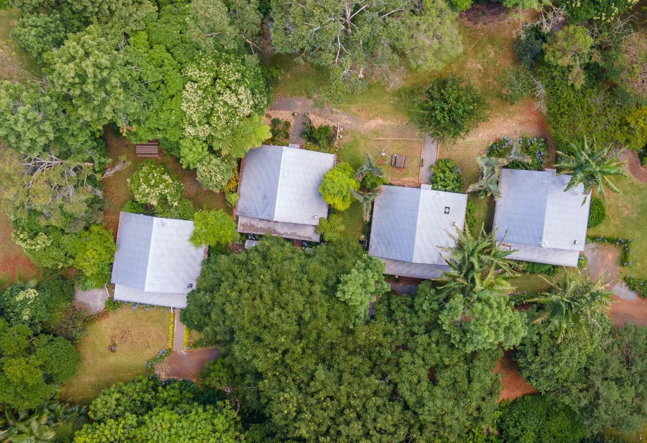 Romantic Cottage, Tamborine Mountain Exterior foto