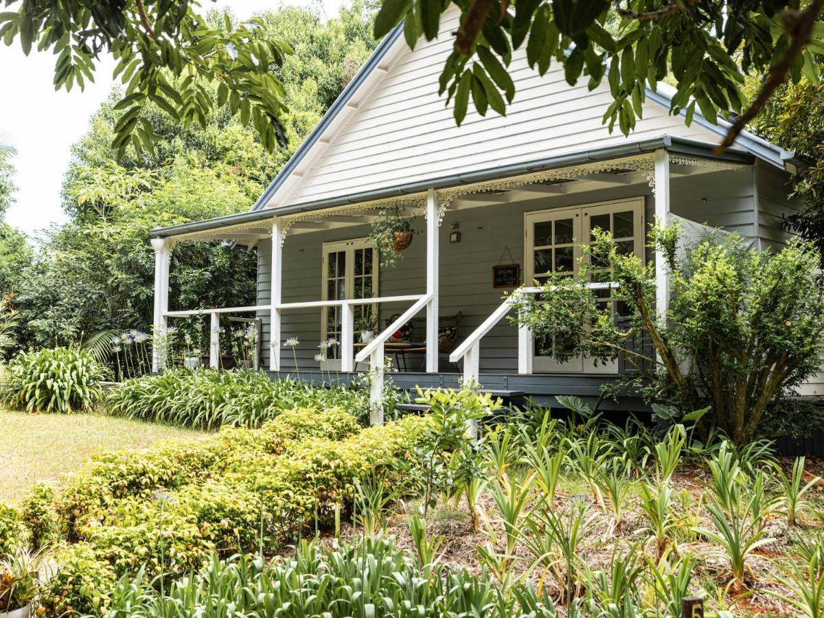 Romantic Cottage, Tamborine Mountain Exterior foto